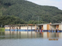 대석낚시터 유료낚시터 > 주말, 주중 스케치 (조황 굿) : 낚시사랑