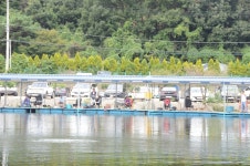 상덕낚시터 유료낚시터 > [상덕낚시터] 9월 4주차 이야기 - 용인 상덕 : 낚시사랑