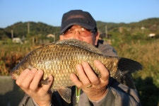 내동지 유료낚시터 > *** 내동식당 새롭게 열었습니다 *** : 낚시사랑