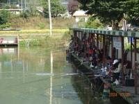 오빈낚시터 유료낚시터 > ~~~조황 아주좋습니다~~~ : 낚시사랑