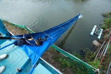 한터낚시터. 유료낚시터 > 한터 낚시터 2024년 10월08일 (화요일) 메기 향어 대량 방류했습니다 : 낚시사랑