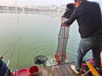 안성 거청낚시터 유료낚시터 > 10 월 12일 거청낚시터 조황안내 : 낚시사랑