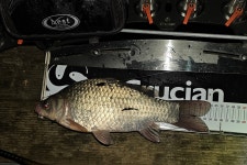 서울좌대 유료낚시터 > 서/울/좌/대 / 주말 조황보고 : 낚시사랑