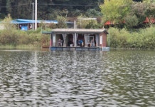 성호낚시터 유료낚시터 > 목요일 10월17일 조황 성호낚시터. : 낚시사랑