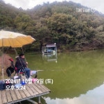 양평그린낚시터 유료낚시터 > 양평 그린낚시터 10/21 (월) 주말 조황 정보 : 낚시사랑