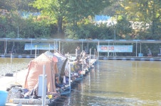 상덕낚시터 유료낚시터 > [상덕낚시터] 10월 3주차 이야기 - 용인 상덕 : 낚시사랑