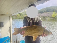 양평수곡낚시터 유료낚시터 > 가을비가 내린후 힐링 수곡낚시터 주중조황 5짜붕어도 나오고 바닥붕어들이 나와주네요 : 낚시사랑