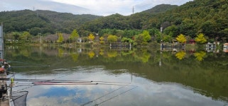 양평수곡낚시터 유료낚시터 > 가을비가 내린후 힐링 수곡낚시터 주중조황 5짜붕어도 나오고 바닥붕어들이 나와주네요 : 낚시사랑