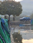 마전낚시공원 유료낚시터 > 10월 말 조황 : 낚시사랑