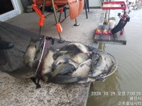 고초골낚시터 유료낚시터 > 고초골 주중 붕어낚시 조황소식 : 낚시사랑