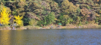 양평수곡낚시터 유료낚시터 > 11월 새달 첫주 양평 힐링 수곡낚시터 5짜 대물붕어 포함 주말 조황 꾸준히 이어지고 있습니다 : 낚시사랑