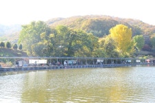 상덕낚시터 유료낚시터 > [상덕낚시터] 11월 첫 주 이야기 - 용인 상덕 : 낚시사랑