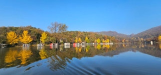 양평수곡낚시터 유료낚시터 > 11월 둘째주말 가을 양평 힐링 수곡낚시터 꾸준한 조황속 편차는 다소 있었습니다 방한천막설치 : 낚시사랑