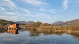 고삼지 양촌 유료낚시터 > 고삼지 늦가을 조황??? : 낚시사랑