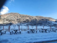 가산낚시터 유료낚시터 > 긍요일조황정보입니다 : 낚시사랑