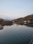 송전집좌대 유료낚시터 > 송전지 이동낚시터 송전좌대 조황정보 : 낚시사랑