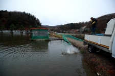 한터낚시터. 유료낚시터 > 한터 낚시터 2024년 11월17일 (일요일) 향어 잉어 메기 대량 방류했습니다 : 낚시사랑