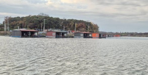 성호낚시터 유료낚시터 > 방류 4짜 조황정보 성호낚시터. : 낚시사랑