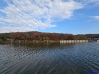 삼인낚시터 유료낚시터 > 가깝고 물 좋고 경치 좋은곳 ~~!!-용인삼인낚시터- : 낚시사랑