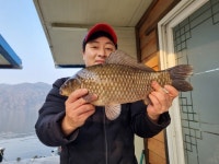 수원좌대 유료낚시터 > 연이은 4짜대물!! 송전지 수원좌대 : 낚시사랑