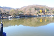 상덕낚시터 유료낚시터 > [상덕낚시터] 11월 4주차 이야기 - 용인 상덕 : 낚시사랑