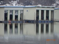 오빈낚시터 유료낚시터 > ~~~오후 부터 입질 좋습니다~~~ : 낚시사랑