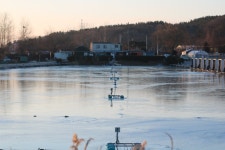 내동지 유료낚시터 > *** 긴급공지*** : 낚시사랑