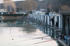 내동지 유료낚시터 > *** 토종붕어 45cm *** : 낚시사랑