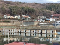 삼인낚시터 유료낚시터 > 새해 복 많이 받으세요~~!!-용인삼인낚시터- : 낚시사랑