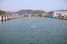 내동지 유료낚시터 > *** 5짜 3마리 전부 4짜 *** : 낚시사랑