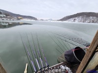 삼인낚시터 유료낚시터 > 가깝고 물 좋고 경치 좋은곳 ~~!!-용인삼인낚시터- : 낚시사랑