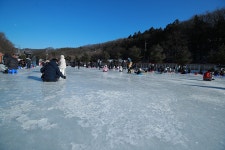 한터낚시터. 유료낚시터 > 한터 낚시터 2025년 2월 9일 일요일 빙어 /송어 대량 방류했습니다 : 낚시사랑