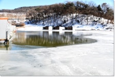 산우물낚시터 유료낚시터 > 당찬 손맛 풍요로움이 함께하는 산우물낚시터 : 낚시사랑