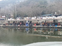 동교낚시터 유료낚시터 > 포천동교낚시터입니다 : 낚시사랑