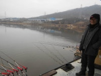 신봉낚시터 유료낚시터 > 올해 토종 대물붕어 13000kg 하루에 방류 : 낚시사랑