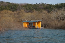 서울좌대 유료낚시터 > 용인 송전지 - 서울좌대 주중 소식 : 낚시사랑