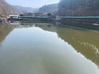 양평-대명낚시터 유료낚시터 > 25년 물낚시개장! 매주 900kg 방류! [향어,메기,철갑상어,장어] 잡이터 : 낚시사랑