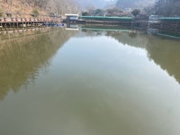 양평-대명낚시터 유료낚시터 > 25년 물낚시개장! 매주 900kg 방류! [향어,메기,철갑상어,장어] 잡이터 : 낚시사랑