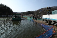 한터낚시터. 유료낚시터 > 한터 낚시터 2025년 03월13일 (토요일) 송어 붕어 향어 대량 방류했습니다 : 낚시사랑