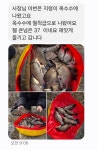 성호낚시터 유료낚시터 > 주말조황 성호낚시터 이천. : 낚시사랑