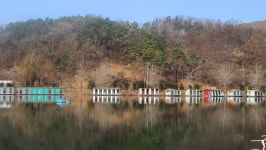 양평수곡낚시터 유료낚시터 > 초봄 붕어 힐링 수곡낚시터 셋째주말 조황 및 붕어방류 소식입니다 : 낚시사랑