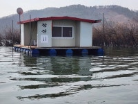 창신좌대 유료낚시터 > 송전지 창신좌대 조황정보 : 낚시사랑