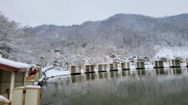 즐거운복상골 유료낚시터 > 바람타고 봄은 오네요~~~ : 낚시사랑