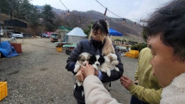 즐거운복상골 유료낚시터 > 개장식 잘 치뤘습니다~~~ : 낚시사랑