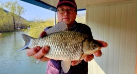 미성좌대 유료낚시터 > 송전지 미성좌대 조황정보 : 낚시사랑