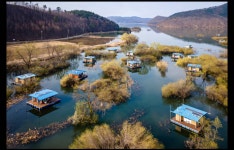 미성좌대 유료낚시터 > 송전지 미성좌대 조황정보 : 낚시사랑