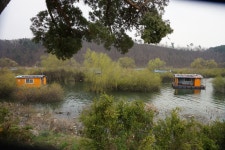 서울좌대 유료낚시터 > 용인 송전지 - 서울좌대 4짜 퍼레이드 : 낚시사랑