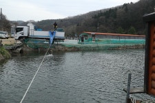 한터낚시터. 유료낚시터 > 한터 낚시터 2025년 04월12일 (토요일) 붕어 향어 대량 방류했습니다 : 낚시사랑