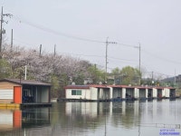 삼인낚시터 유료낚시터 > 가깝고 물 좋고 경치 좋은곳 ~~!!-용인삼인낚시터- : 낚시사랑