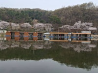 회암지 유료낚시터 > 안성회암낚시터 조황정보^^ : 낚시사랑